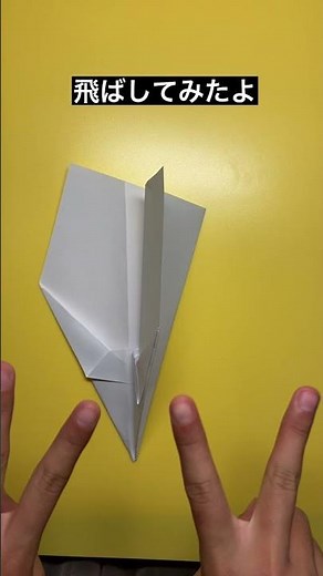 【折り紙】良く飛ぶ♪簡単! 紙飛行機 作って飛ばしてみた/小学生/paper airplane / Origami / paper folding #Shorts