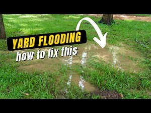 Flooded Yard Causes Major Problems Complete Yard Drain System - How to Fix - DIY for Homeowners