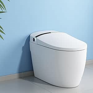 Smart Toilet,Auto Flush, Heated Bidet with Temperature Controlled Wash Functions, Pre-Wet, Warm Air Dryer, Soft Closing Seat,Energy-Saving Electric Tankless Toilets with LED Display
