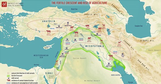 Mesopotamia: The Beginning of Beginnings