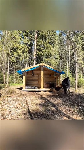 DIY simple Driftwood chandelier in a log cabin | Navy Notes