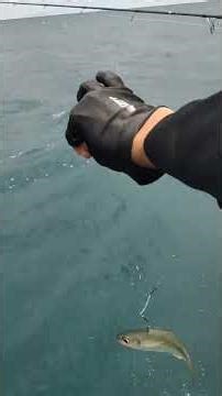 CARA MENUKAR IKAN KECIL KE IKAN BESAR GAYS 🤣 #fypシ゚viral