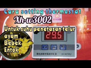 cara setting thermostat digital xh w3002 untuk suhu penetasan telur ayam bebek entok burung
