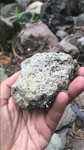 Pumice Rock - Yep, it Floats!