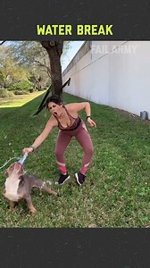 193K views · 1K reactions | Funniest Fails From Dogs  | FailArmy | Facebook