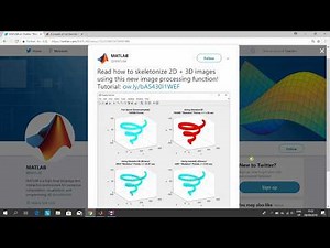 Skeletonisation of a 3d volume in Matlab.