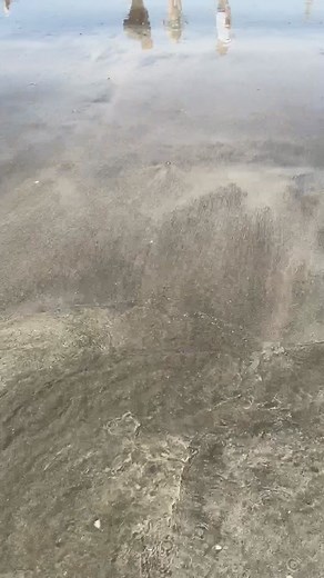 どのギャルが好みですか？🫶✨️ #ranzuki #jkブランド #jk #モデル #ギャル #高校生 #jkの日常 #女子高生 #07 #水着