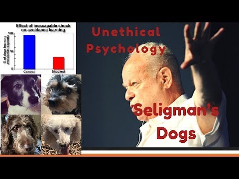 Unethical Psychology: Learned Helplessness and Seligman's Dogs