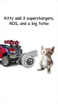 Today’s lecture Advanced Biscuits & Chaos Theory 🐾📖 #catsofthegram #catreels #funnycats #meowdemy