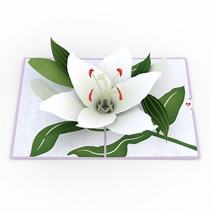 Sympathy Lily Pop-Up Card