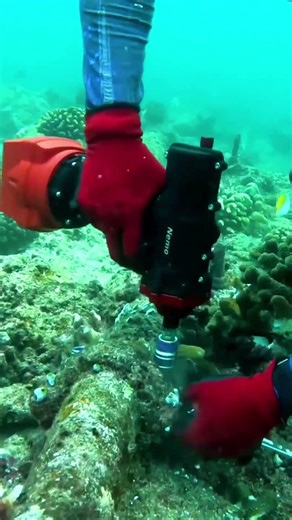 Underwater Fastening Power You Didn't Expect