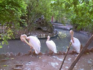 Canon Powershot SX420 IS complete Review | Settings | Video Test