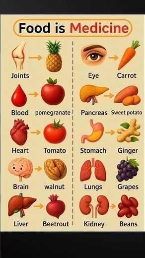 Food Is Medicine: How What You Eat Affects Your Brain and Body