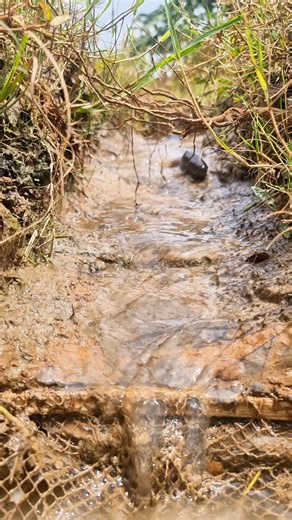 9.1K views · 29 reactions | Catch Fish the Eco-Friendly Way in Rainy day! Recycled Trap Ideas #fish #reels #fishing #fishinglife | Alaska Fishing | Facebook