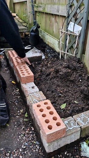 Building a Herb Garden Bed With Reclaimed bricks 🌿