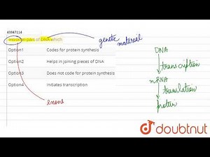 Intron in part of DNA which | 12 | MOCK TEST 2 | BIOLOGY | A2Z | Doubtnut