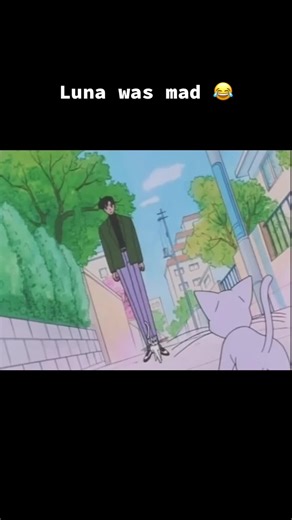 #SailorMoon #AnimeFunnyMoments #Fyp #Anime #SailorMoonStars #SailorLuna #Luna #SailorArtemis