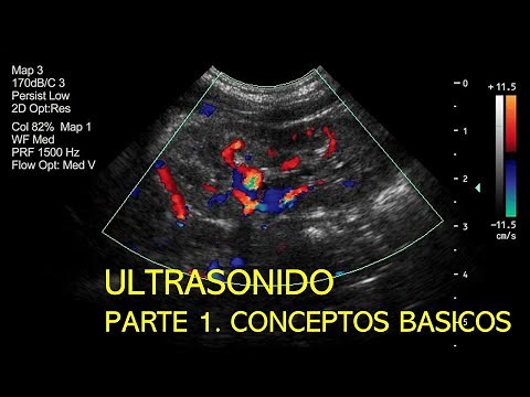 Ultrasound: The Basics 🔊💻