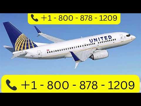Call United Airlines® Customer Service Explained | Complete Assistance Guide