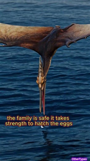 The Pteranodon, how he lived. #shorts #dino #amazing #epic #survival #animalsoftiktok #shortsvideo