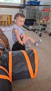 193 reactions · 5 comments | Pure joy ♥️ This sweet baby girl is the granddaughter of one of our phenomenal volunteers. This gentle toddler loves to pet her little friend Daisy bunny  It is important to teach young children to be gentle around animals, especially bunnies. We love how she gave Daisy little kisses and soft pets! She will make a great volunteer ❤️ #stlouis #stlouisbunnyhouse #bunniesofinstagram #volunteers #mohrr | House Rabbit Rescue of Missouri: St. Louis | Facebook