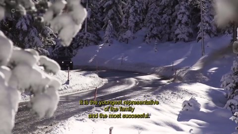 Jeep Renegade, Urban Style Meets Off-Road Prowess