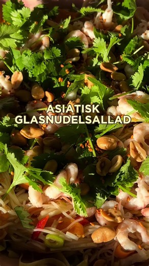 Asiatisk glasnudelsallad med räkor: En smakfull rätt