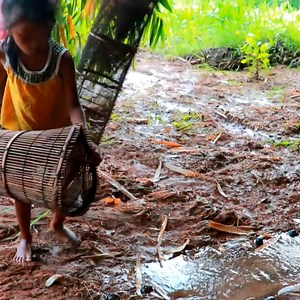 Primitive Life Village Mother walks on her chest Two big fish hearts Cook fish to eat | Survival Life Skill