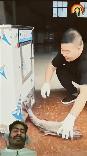Amazing Fish Cutting Machine | Fast & Powerful Fish Processing Technology