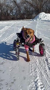 6.9K views · 1.1K reactions | Hip Hip Pooh-Ray! ⁣⁣⁣⁣....