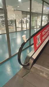 200K views · 11K reactions | day 145 of posting memes with my songs until I get to play live concerts follow me @milesagean for more music stuff and upcoming releases also @memes4mysongs for more miles agean core #milesagean | Memes4mysongs | Facebook