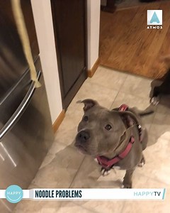 3K views · 44 reactions | He can't handle the Noods 藍 via Doing Things | Happy TV | Facebook