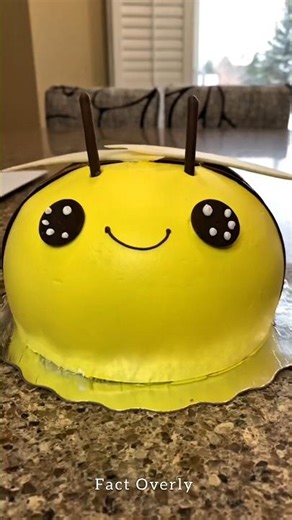 “Japanese Viral Cakes: Mochi to Cheese Pillow Cake | Full Info”