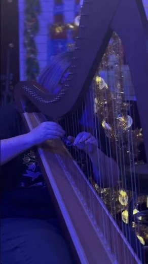 Achievement Unlocked-Play harp in a dive bar #harp #cover #music #openmicnight