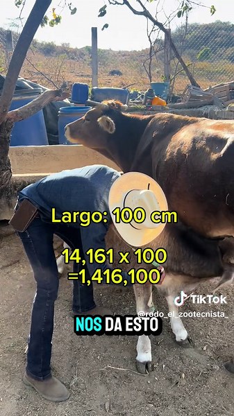 ¿Ganamos o Perdimos? Reflexiones sobre el Rancho