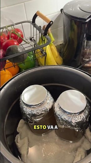 CULTIVO HONGOS desde cero