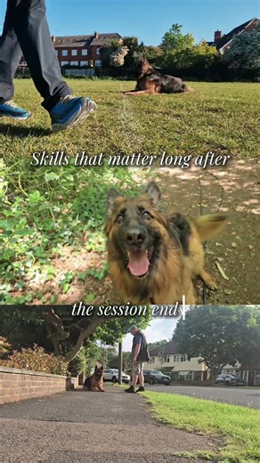New Places, New Confidence 🐾 Issy’s Training Journey