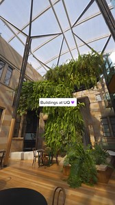 Take a stroll through some of UQ’s most iconic spaces, where heritage meets modern design 💜✨🏢 | The University of Queensland - International