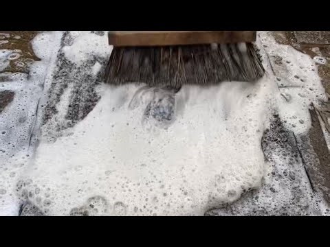 Extremely Satisfying Rug Cleaning ASMR | Deep Scrubbing Green Algae & Years of Dirt Away