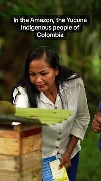 Melipona Bees - Indigenous Knowledge