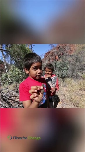 Indigenous Wisdom Nature, Wildlife, and Rescuing Baby Kangaroos
