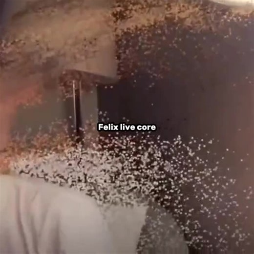 Felix's Live Moments with Stray Kids