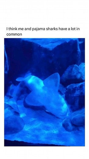 Please. Just let me sleep. I don't want to be here | Bad Science Jokes