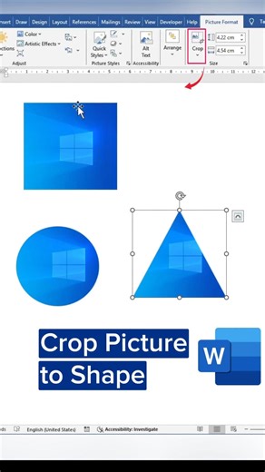 Crop Picture to Shape in MS Word | MS Word Crop to shape feature.