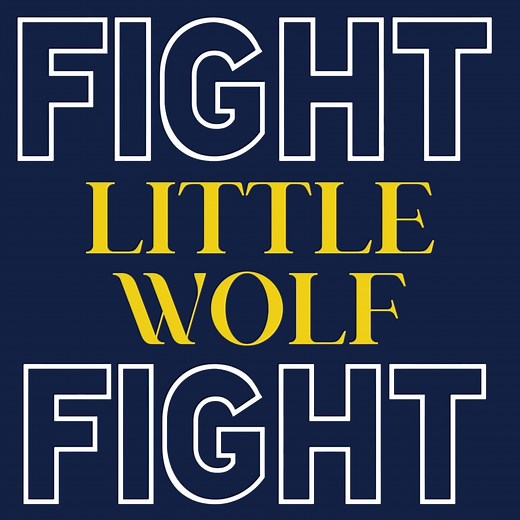 Little Wolf: An Iconic Musical Journey