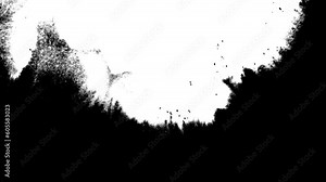 ink splatter splat blot splash stain of white paint abstract animation of brush strokes transparent background