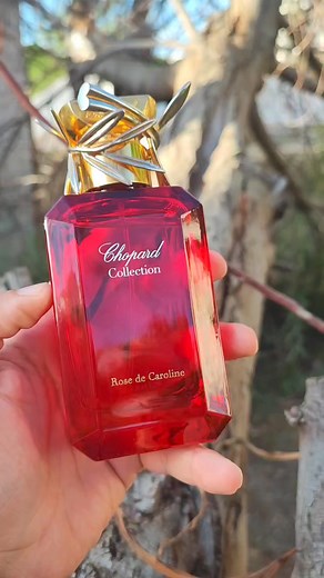 Le parfum : Chopard Rose de Caroline | 𝐵𝑎𝑑𝑖𝑠 𝑀𝑎𝑟𝑑𝑒𝑠𝑠𝑖