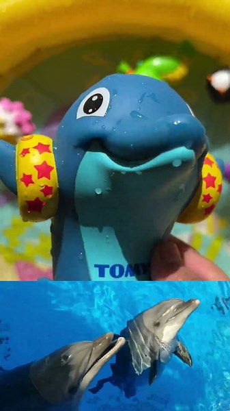 Learn Sea Creatures with Toys & Fun Facts | Educational Video for Toddlers & Preschoolers
