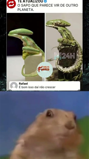 Sapo alienígena? Não, é uma escultura impressionante! 🐸👽