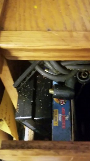 Terrible Roach Infestation